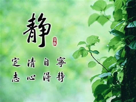 靜字由來|靜的字源字形